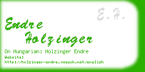 endre holzinger business card